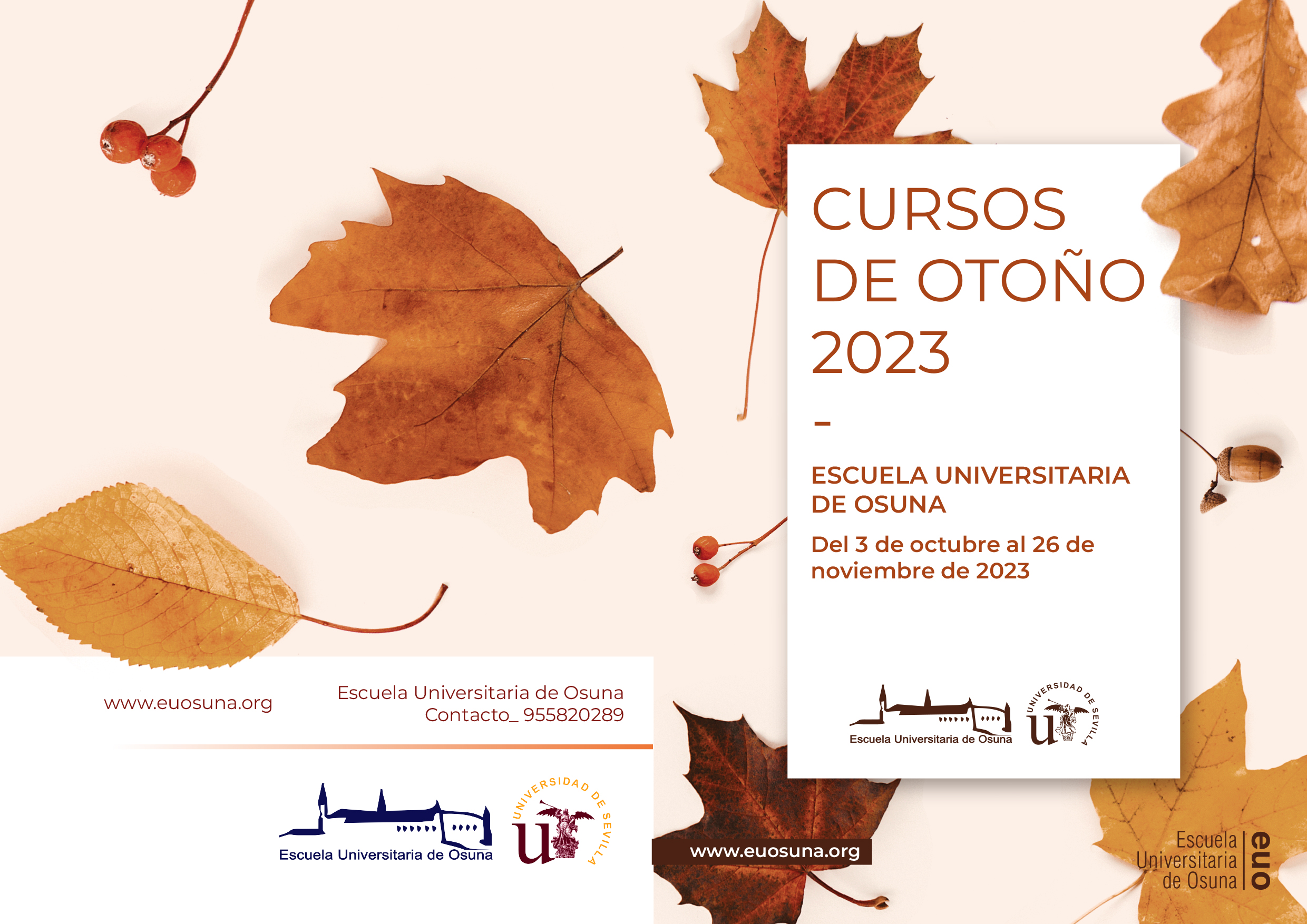 NOTA DE PRENSA | La XX edición de los Cursos de Otoño de la Escuela Universitaria de Osuna se celebrará durante el mes de octubre