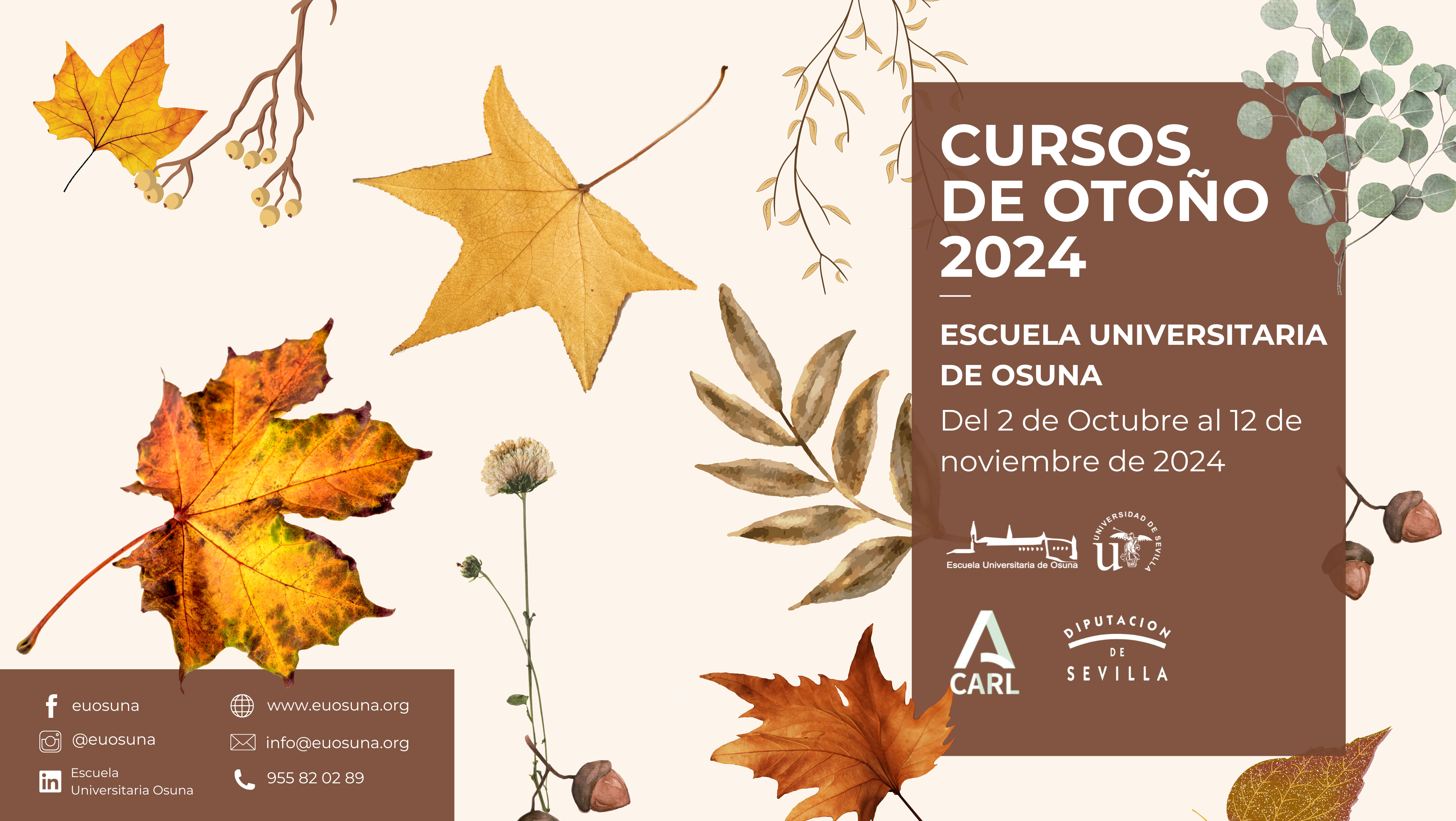 Cursos de Otoño 2024 de la Escuela Universitaria de Osuna